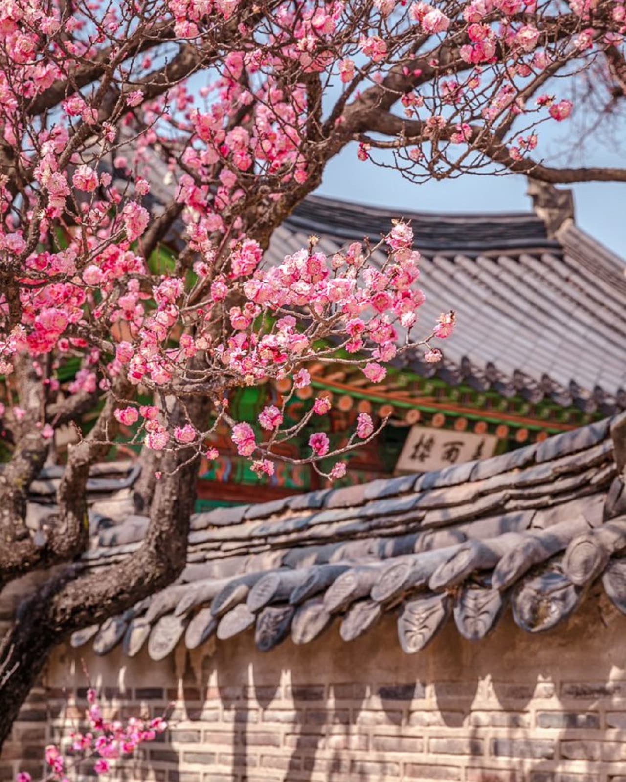 Discover Seoul Pass - تصویر 18