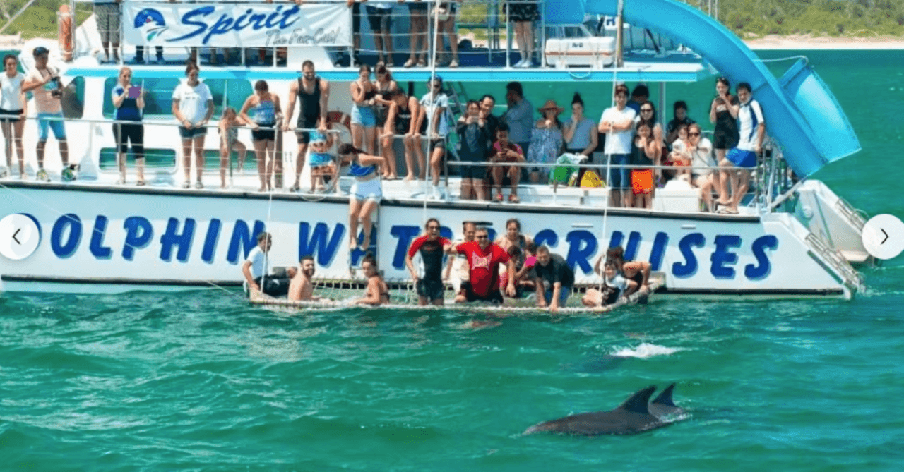 Port Stephens Dolphin Discovery Cruise - تصویر اصلی