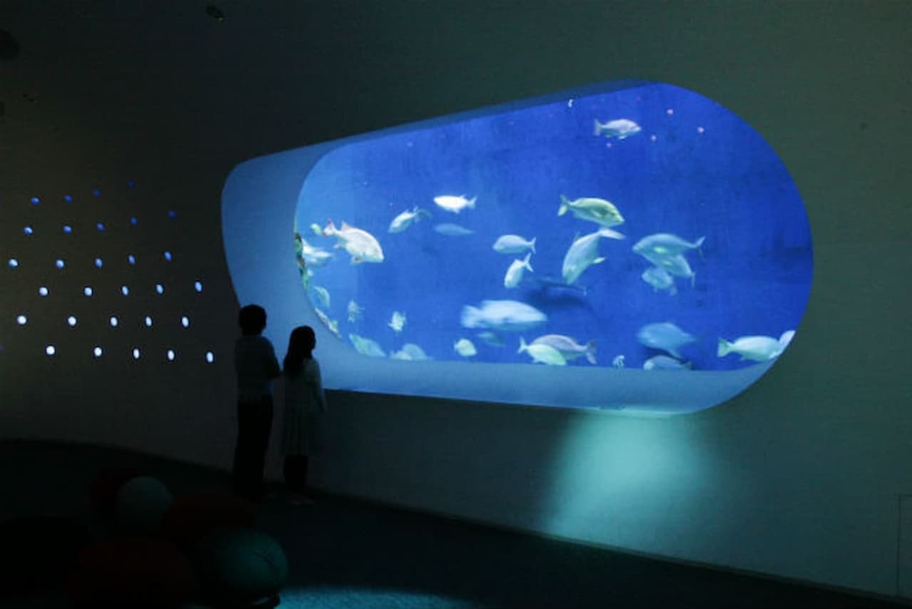 Oita Marine Palace Aquarium Umitamago Ticket - تصویر 3