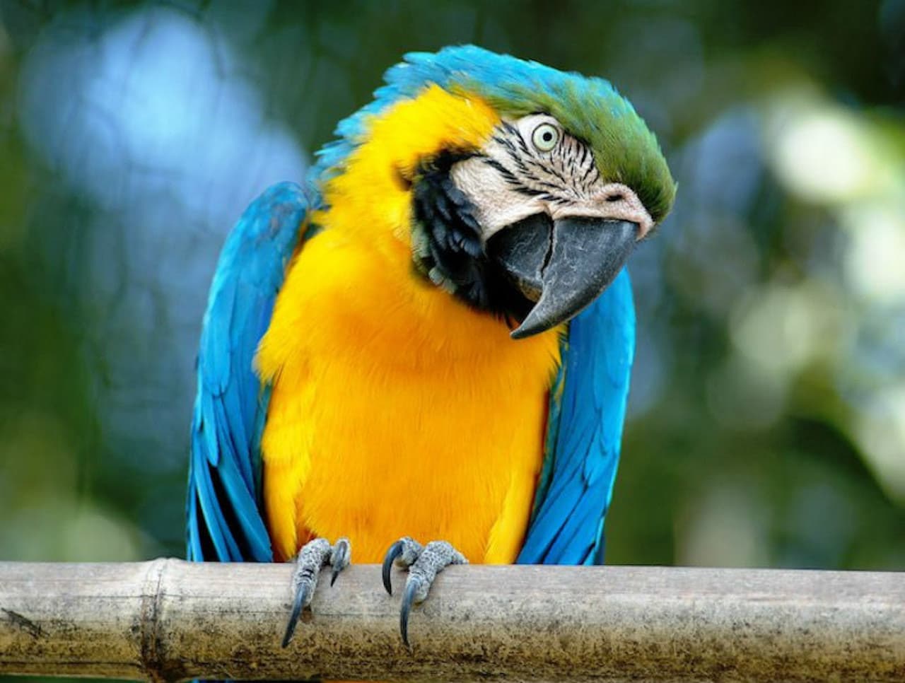 Bioparco: The Zoo of Rome - تصویر اصلی