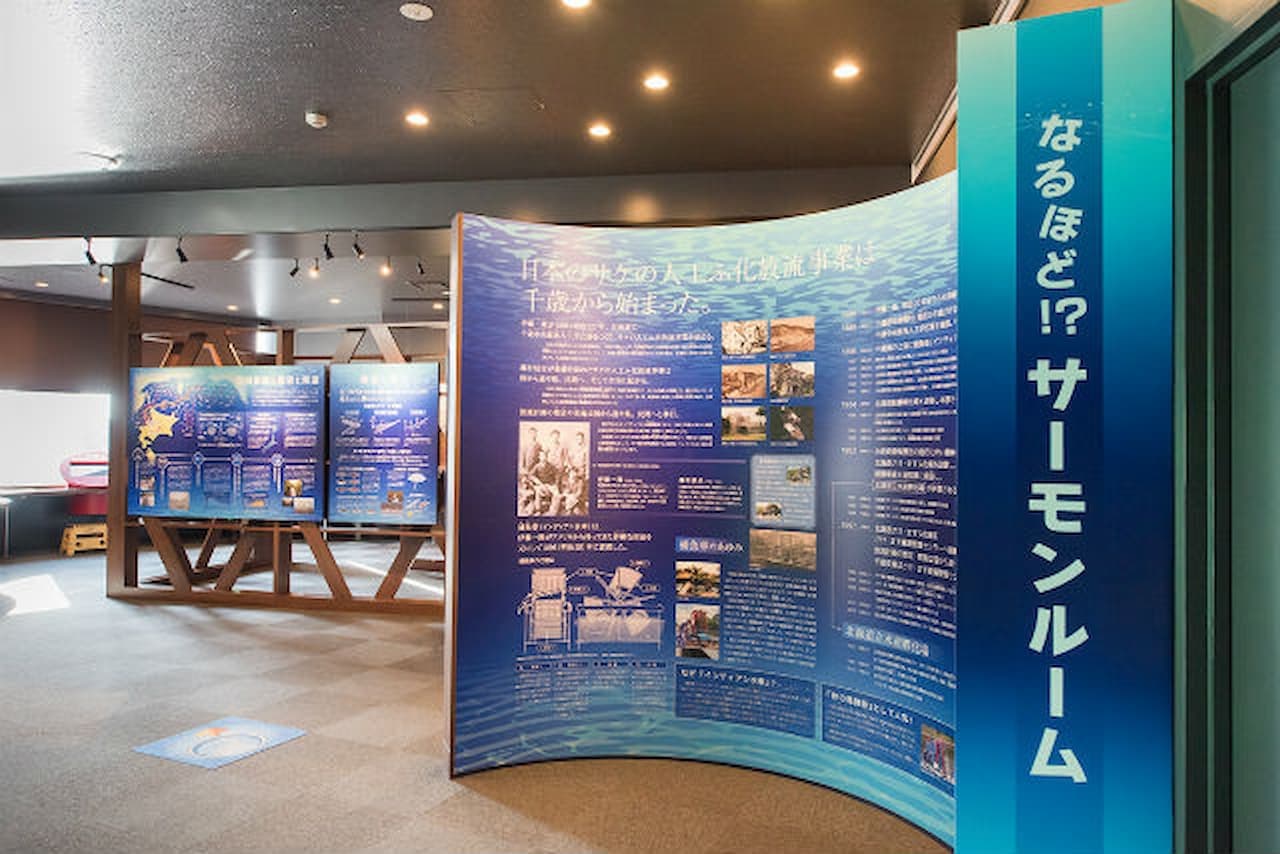 Salmon Hometown Chitose Aquarium Ticket - تصویر 7