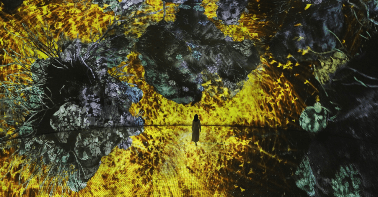 teamLab Phenomena Abu Dhabi Ticket - تصویر 8