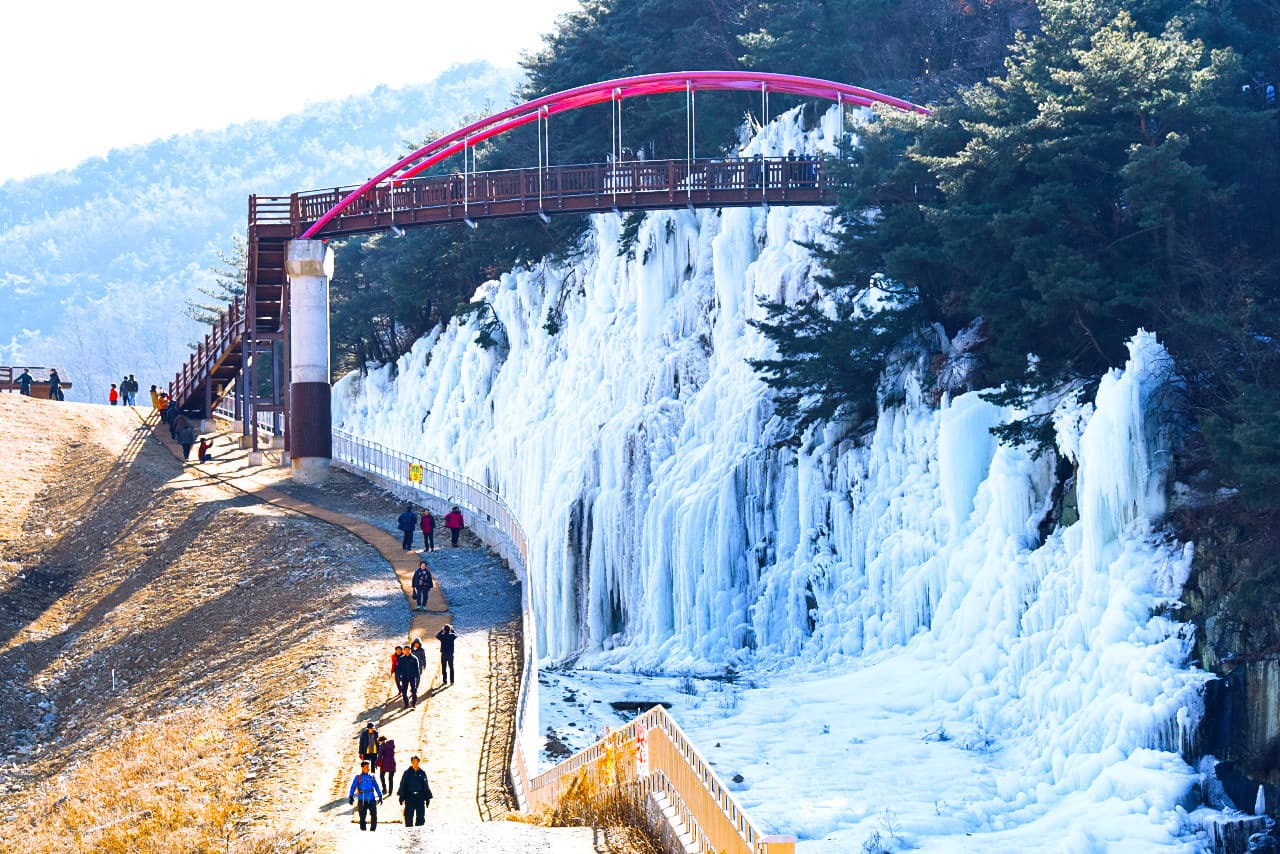 Gyeongju Kookmin Healing Park, Daegu Seomun Market, Songhae Park Ice Wall Full-Day Tour from Busan - تصویر 2