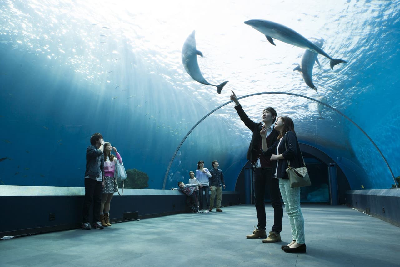 Yokohama Hakkeijima Sea Paradise Ticket - تصویر اصلی