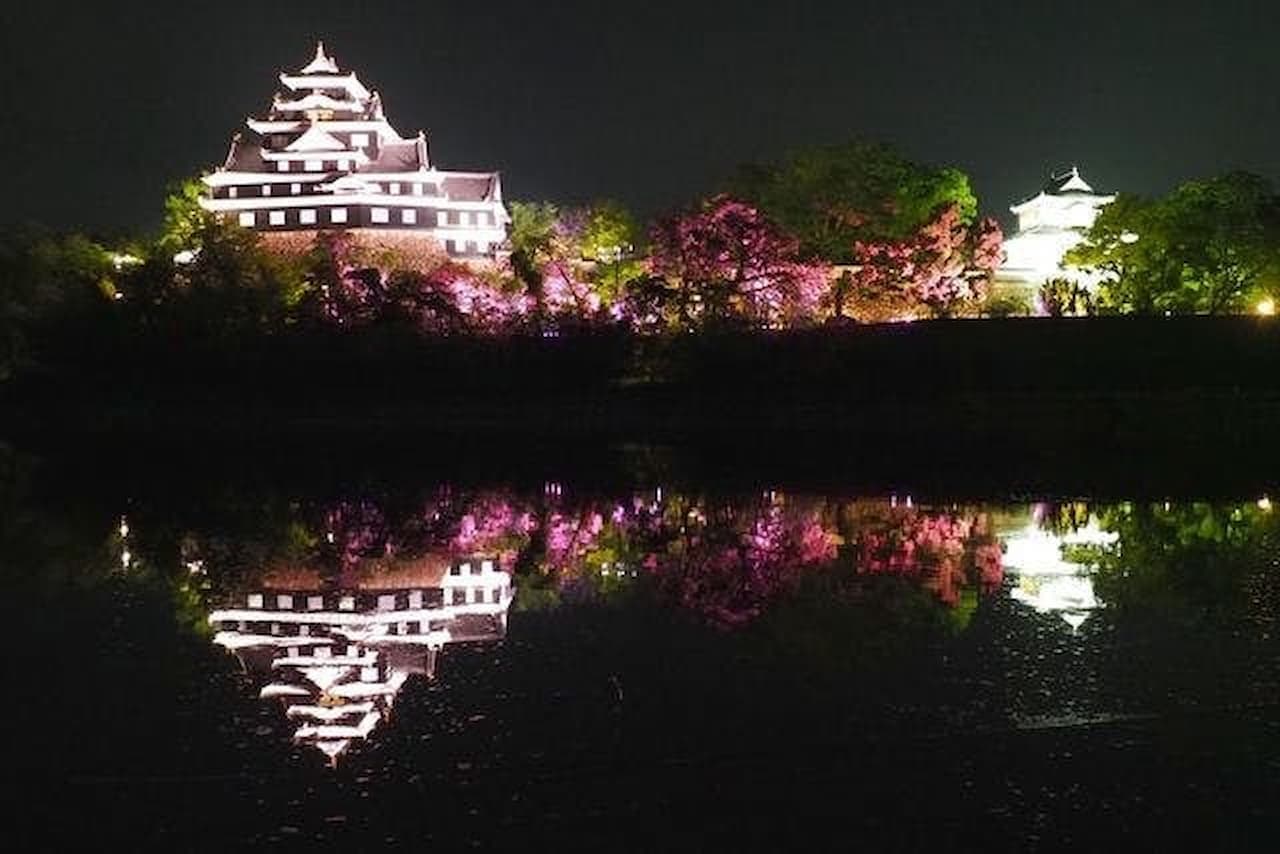 Okayama Castle Ticket - تصویر 6