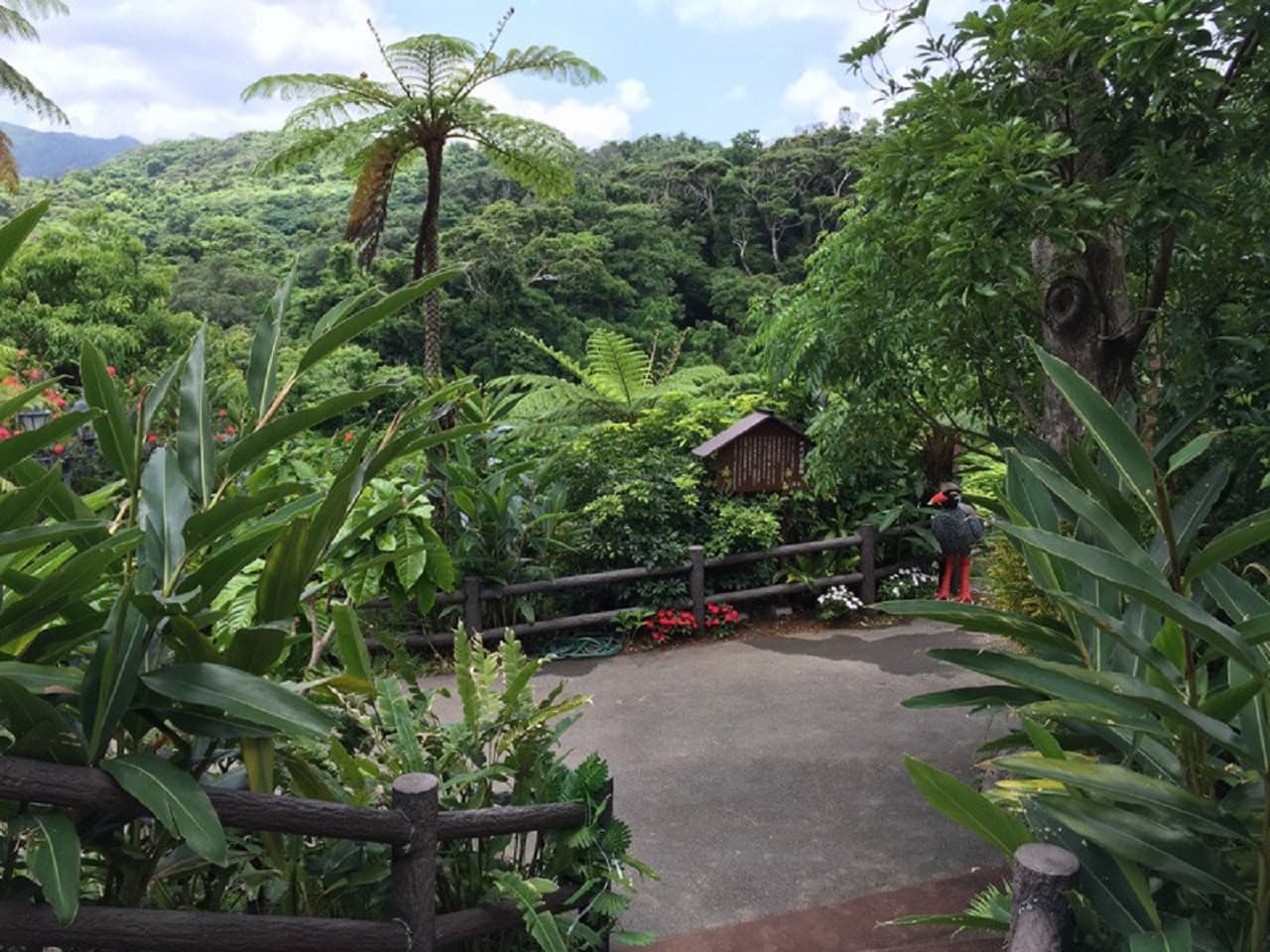 Okinawa Dino Park Yanbaru Subtropical Forest Ticket - تصویر 9