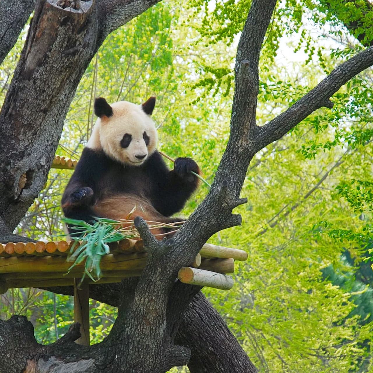 Zoo Aquarium Madrid - تصویر اصلی