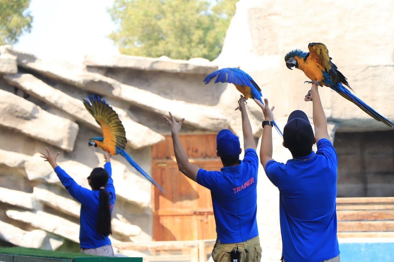 Emirates Park Zoo Ticket - تصویر 5