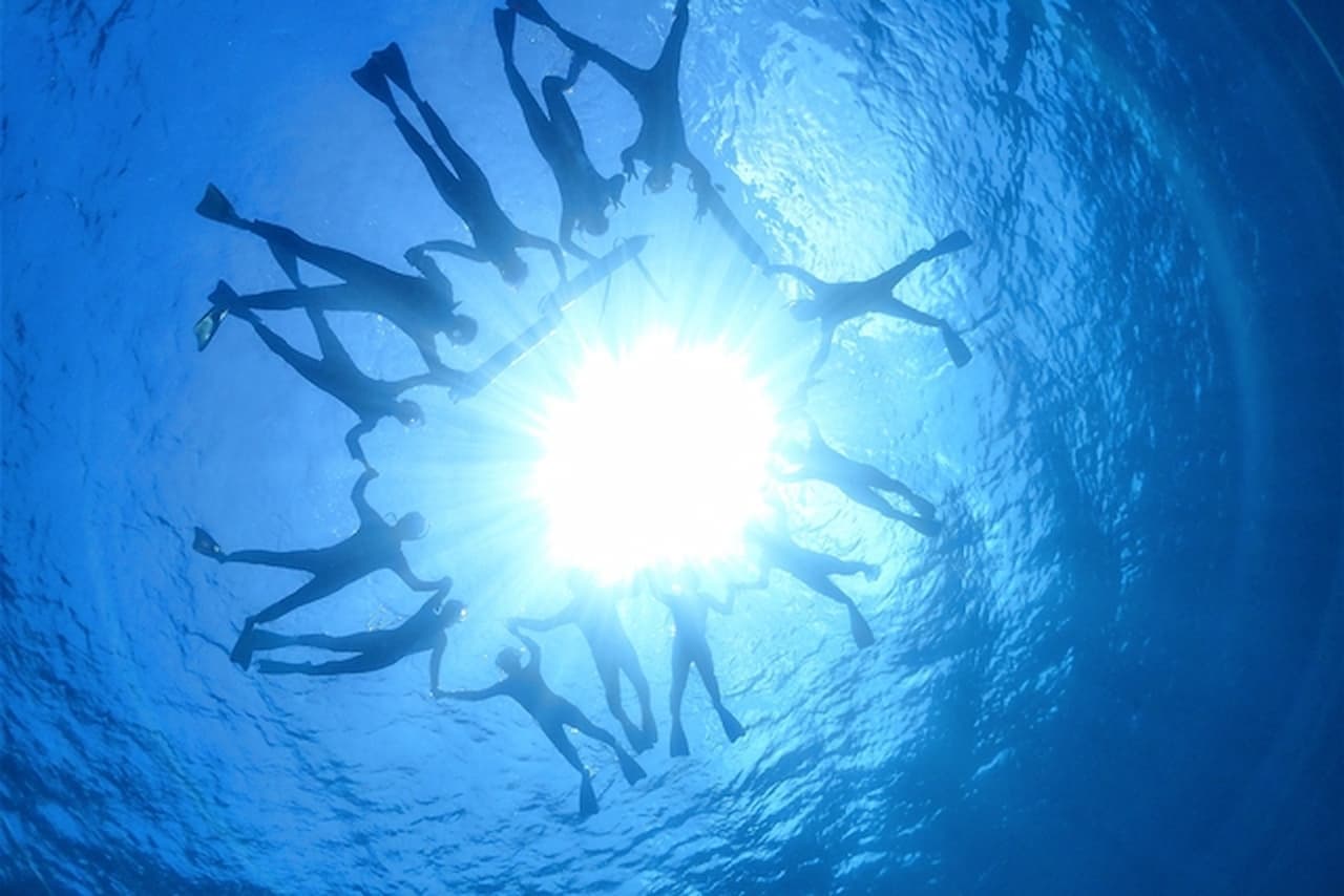 Half-Day Morning Snorkeling Tour with Phantom Island Visit - تصویر 8