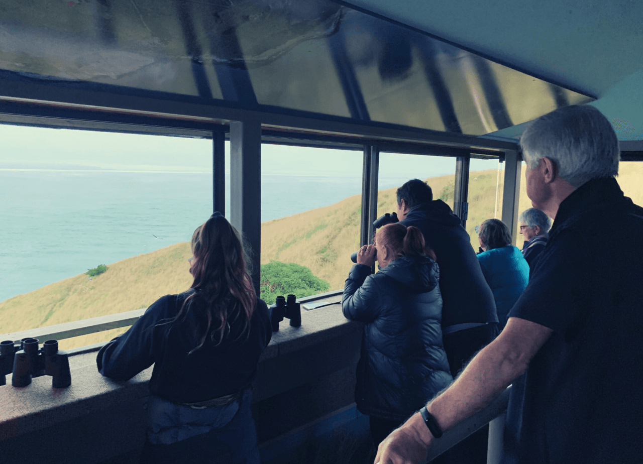 Albatross Classic Guided Tour - تصویر 5