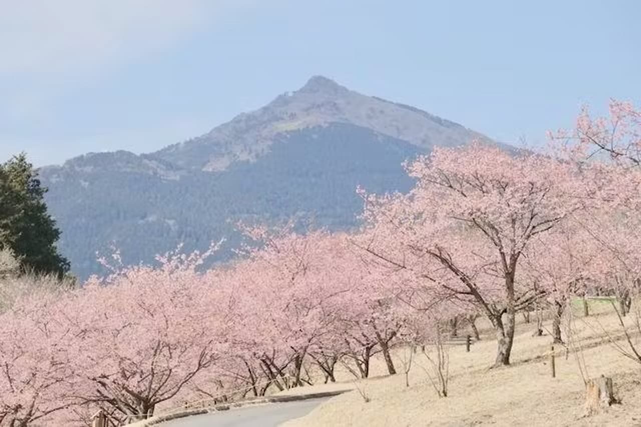 Ibaraki Flower Park Ticket - تصویر 2