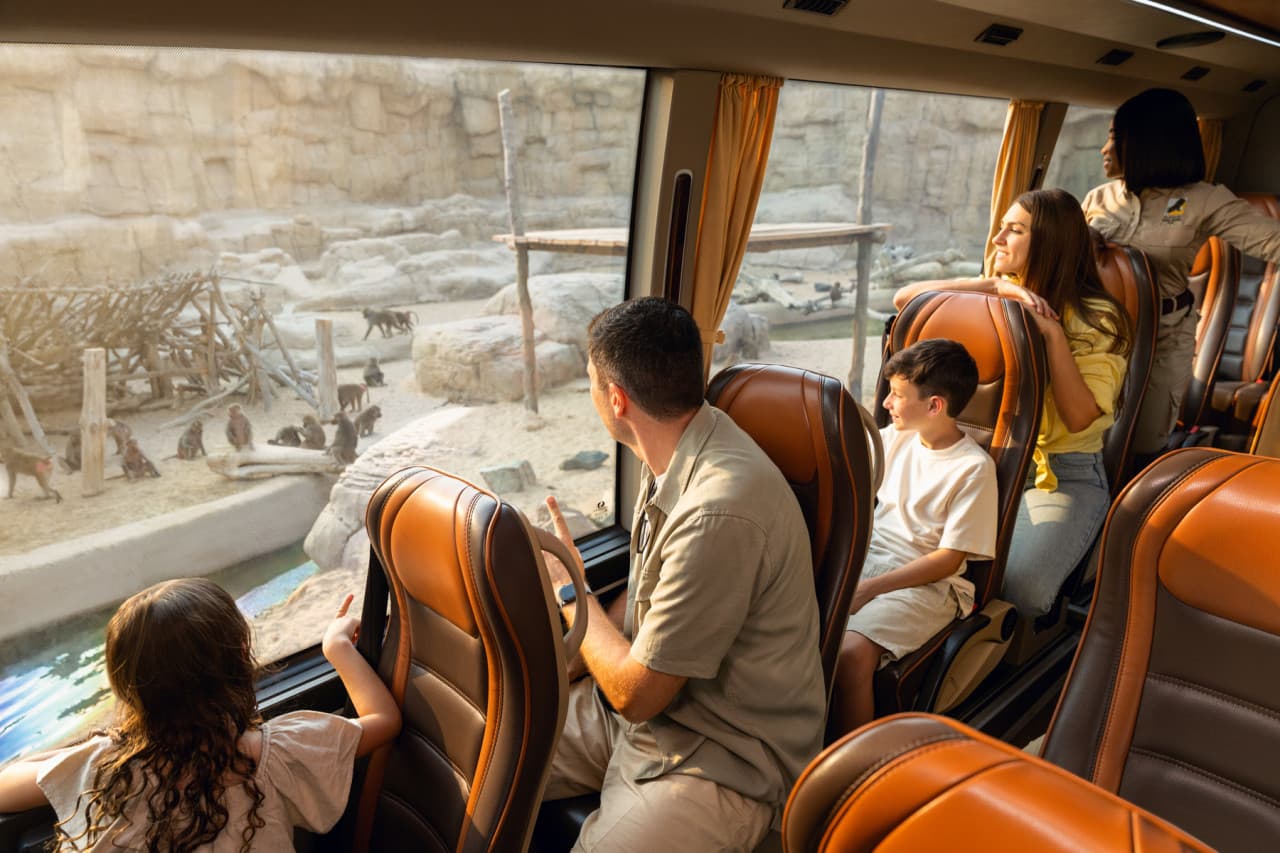 Dubai Safari Park Ticket - تصویر 7