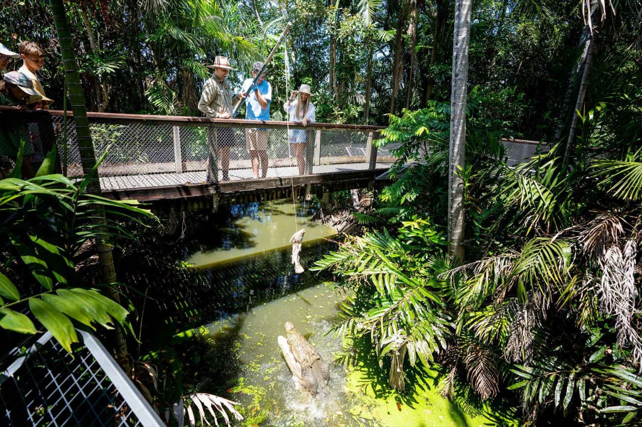 Wildlife Habitat Port Douglas Ticket - تصویر 8