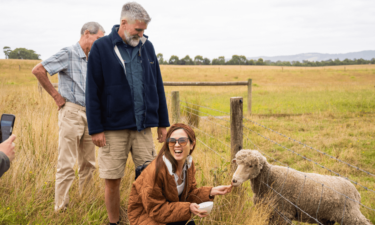 Yarra Valley Full-Day Grazing Tour from Melbourne - تصویر 6