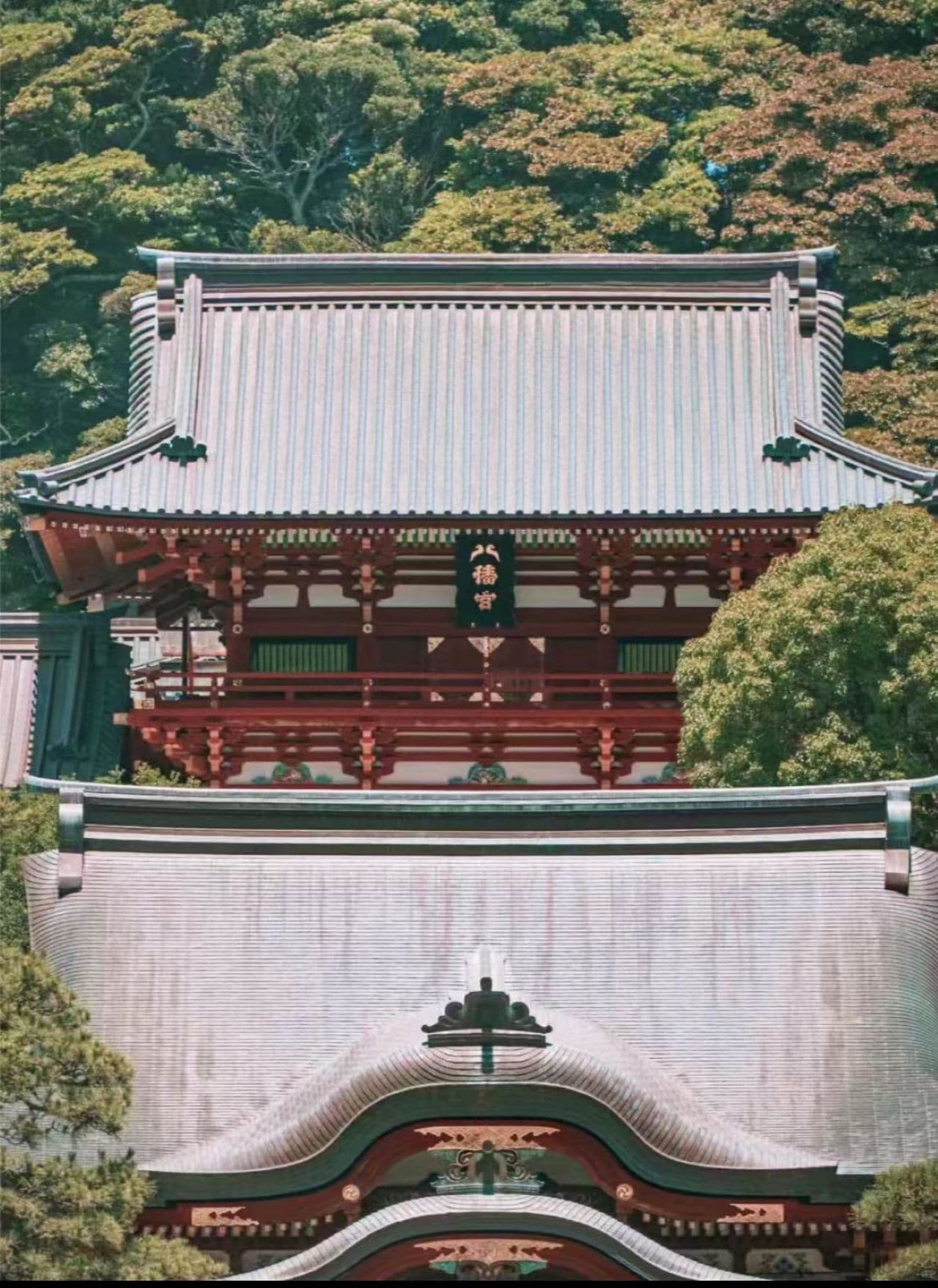 Kotoku-in Temple and Enoshima Day Tour from Tokyo - تصویر 3