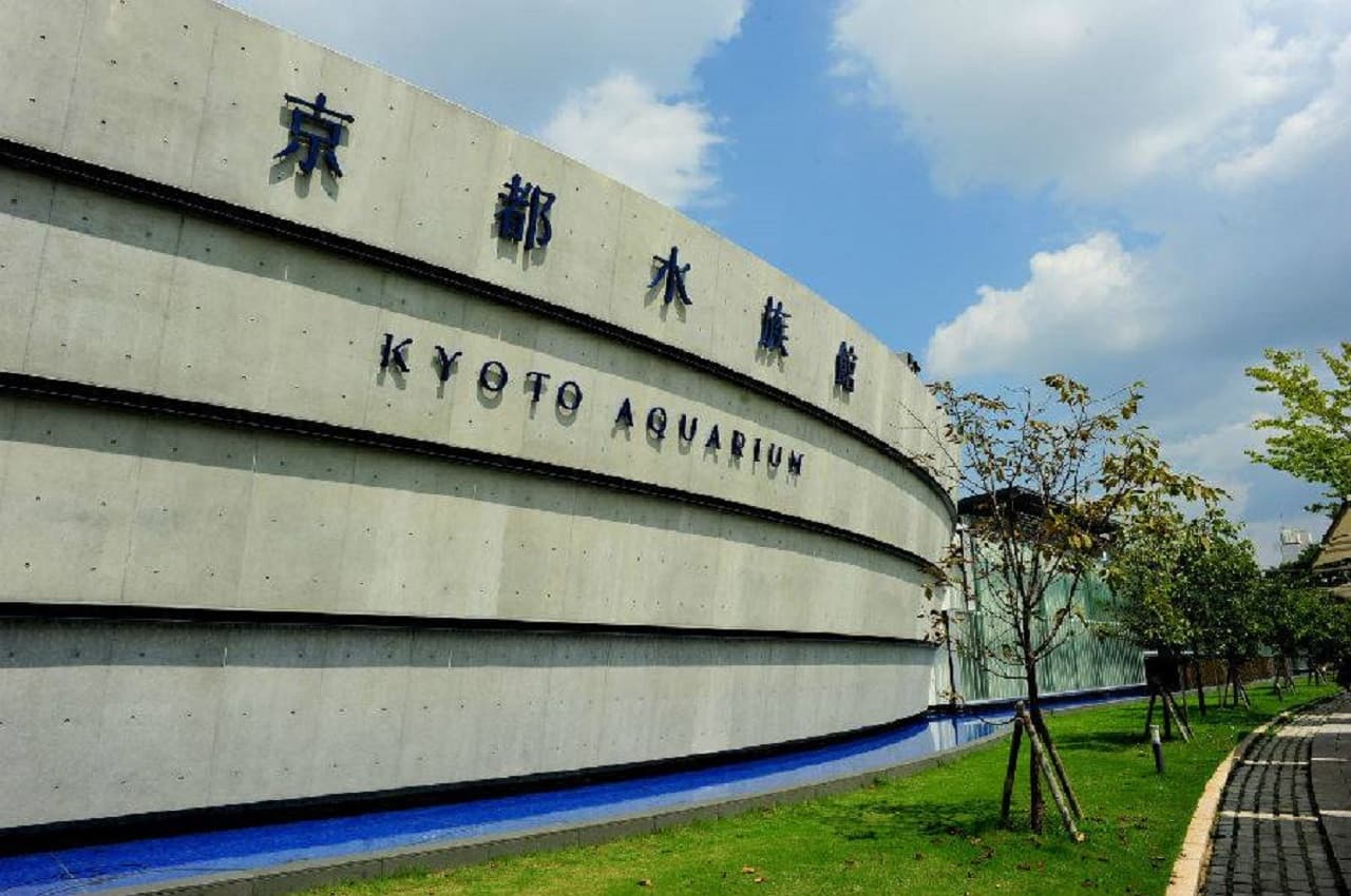 Kyoto Aquarium Ticket - تصویر 15