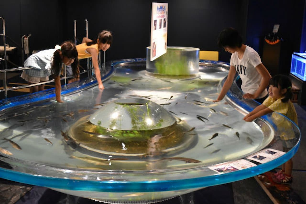 Salmon Hometown Chitose Aquarium Ticket - تصویر 2