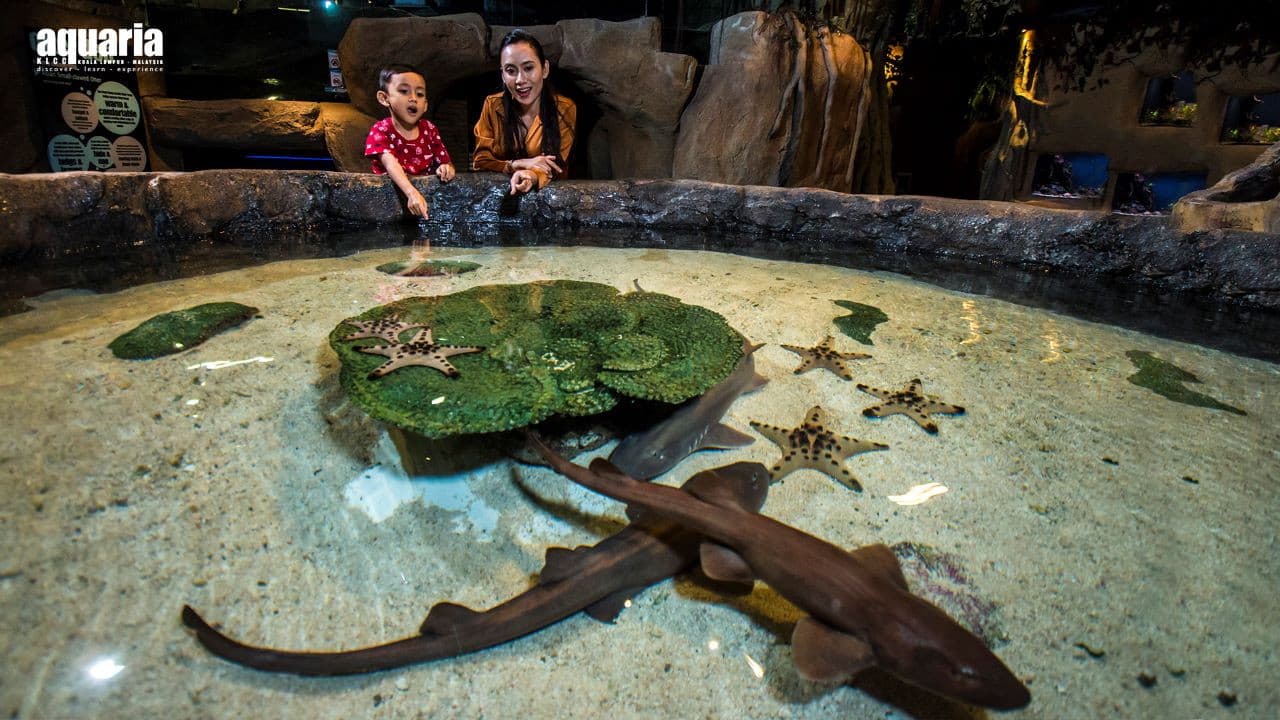 Aquaria KLCC Ticket - تصویر 8