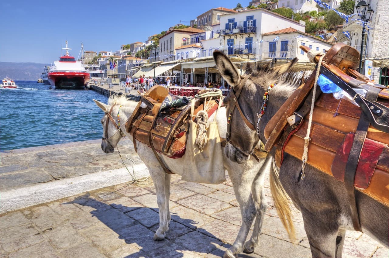 Poros, Hydra, and Aegina Islands Cruise and Full-Day Tour - تصویر 9