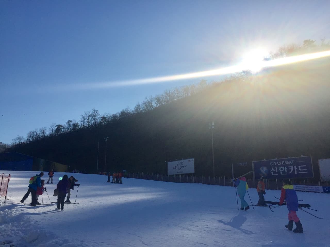 Elysian Gangchon Ski Resort and Nami Island Full-Day Tour from Seoul - تصویر 11