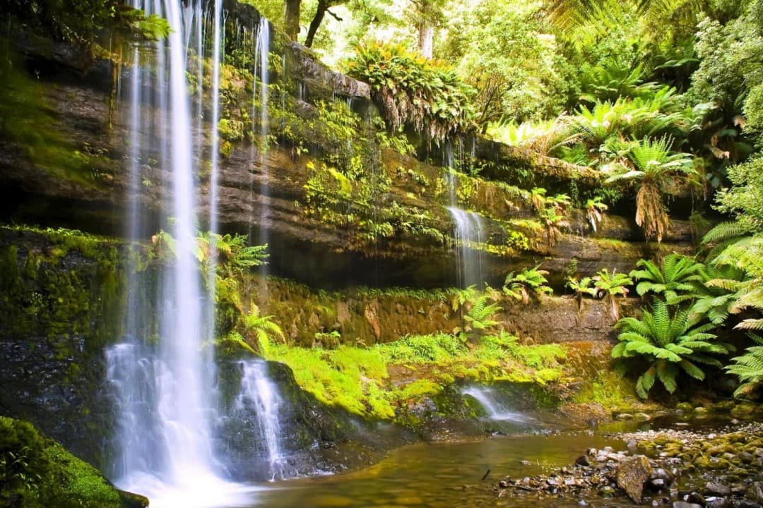 Russell Falls Tour from Hobart - تصویر 2