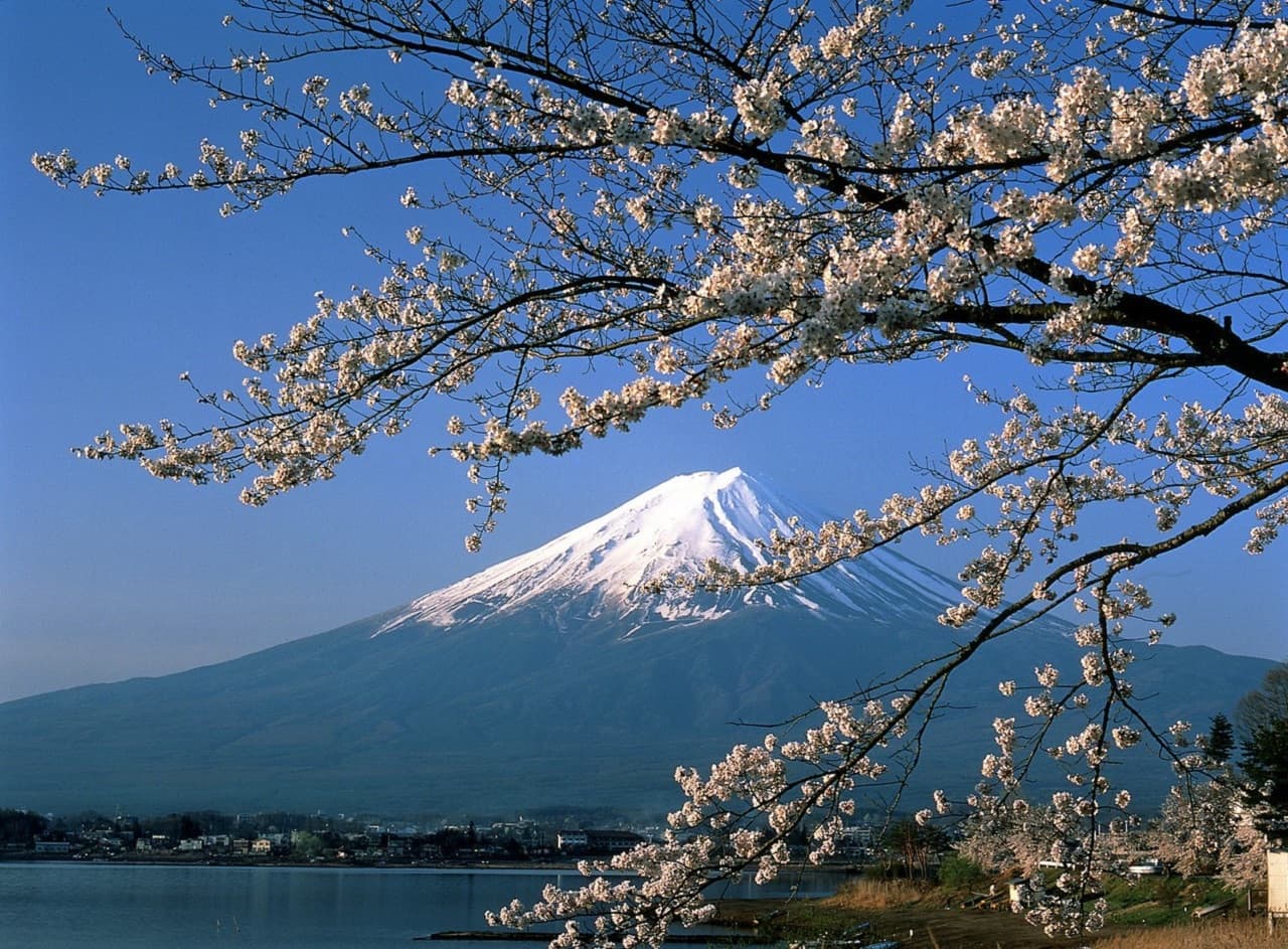 Mount Fuji and Hakone Tour - تصویر 8