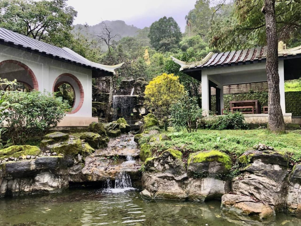 Pinglin Tea Culture and Maokong Full-Day Tour from Taipei - تصویر 4