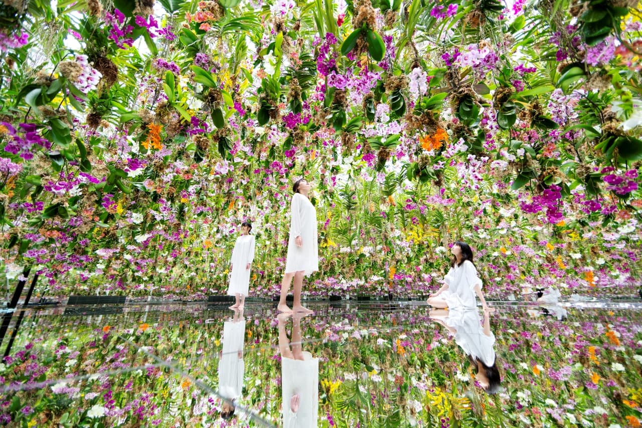 teamLab Planets TOKYO Ticket - تصویر 3