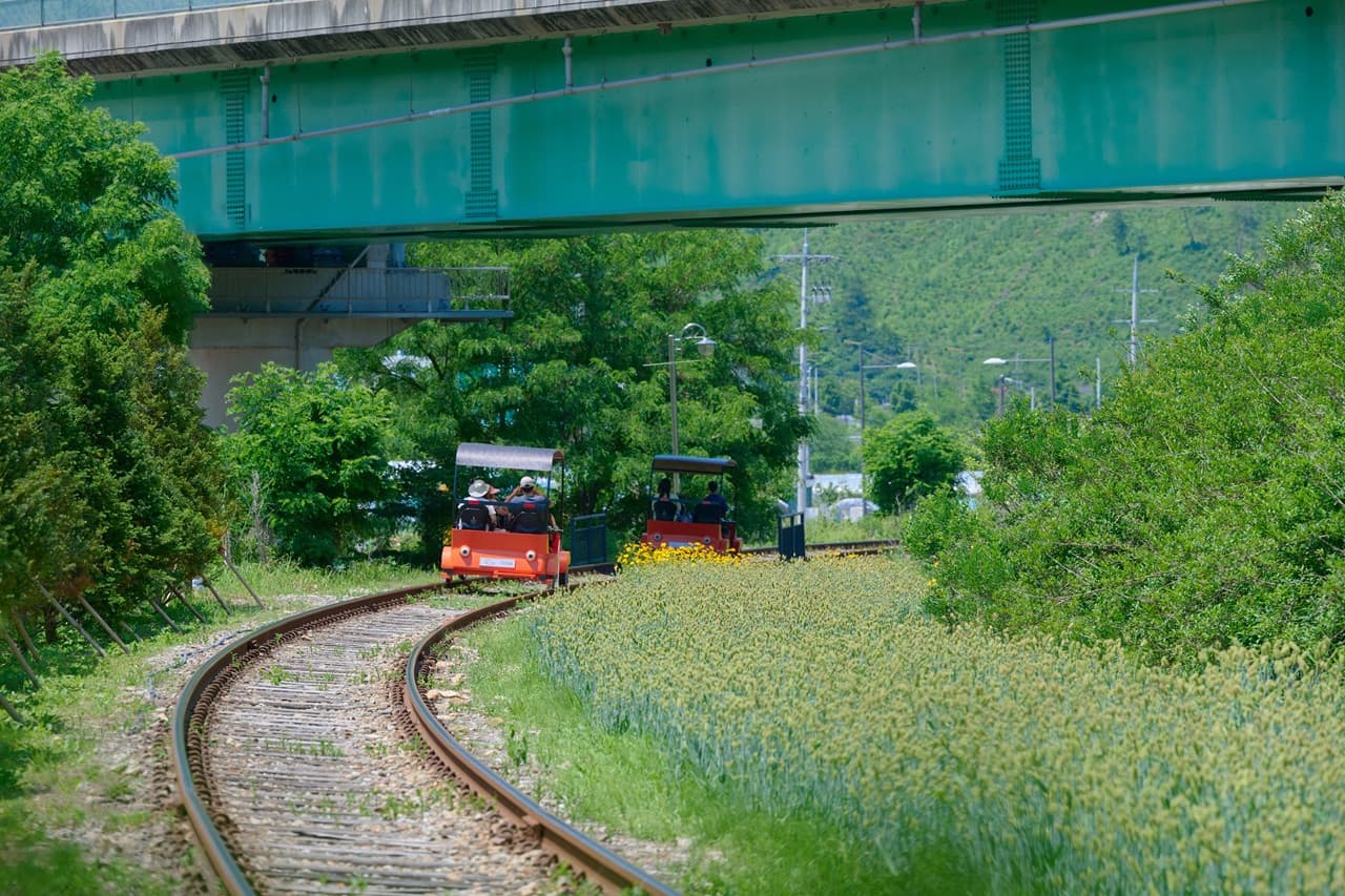 Nami Island, Mount Seorak, and Gapyeong Rail Bike Full-Day Tour from Seoul - تصویر 22