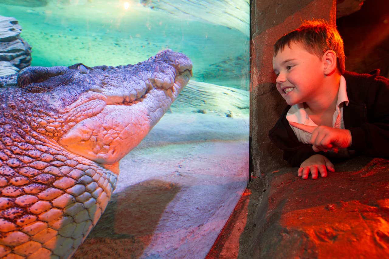 SEA LIFE Melbourne Aquarium Direct Entry Ticket - تصویر 3