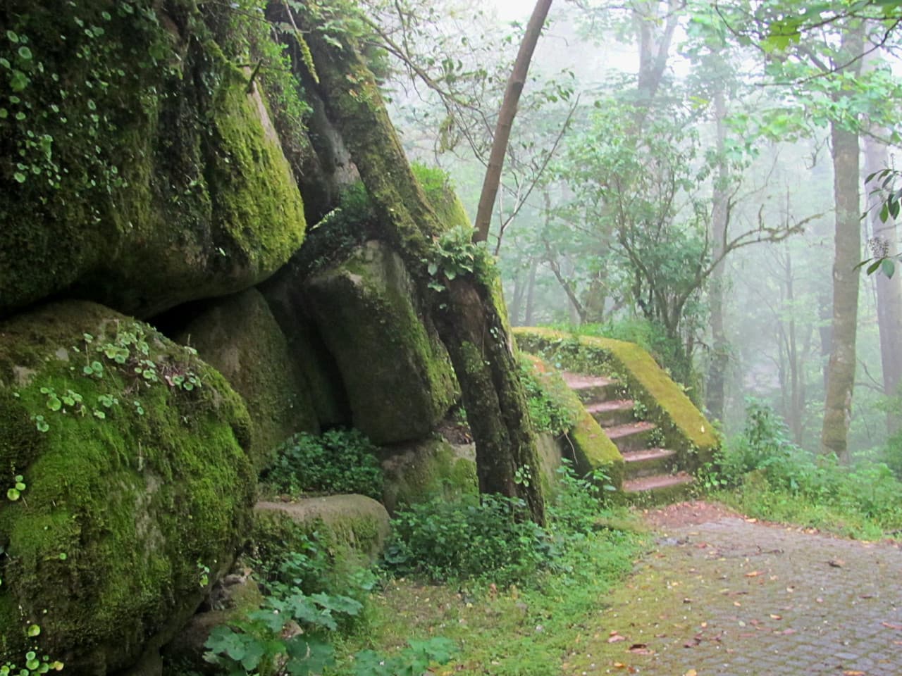 Pena Park in Sintra Ticket - تصویر 4