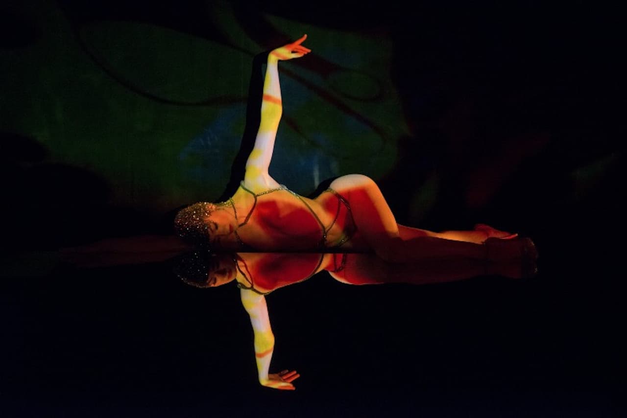Crazy Horse Paris Show Ticket - تصویر 2