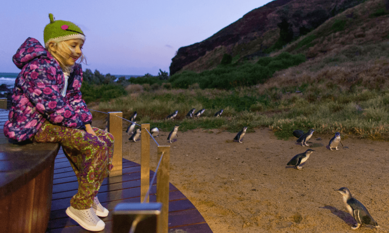 Phillip Island with Penguin Parade Eco Tour - تصویر 33