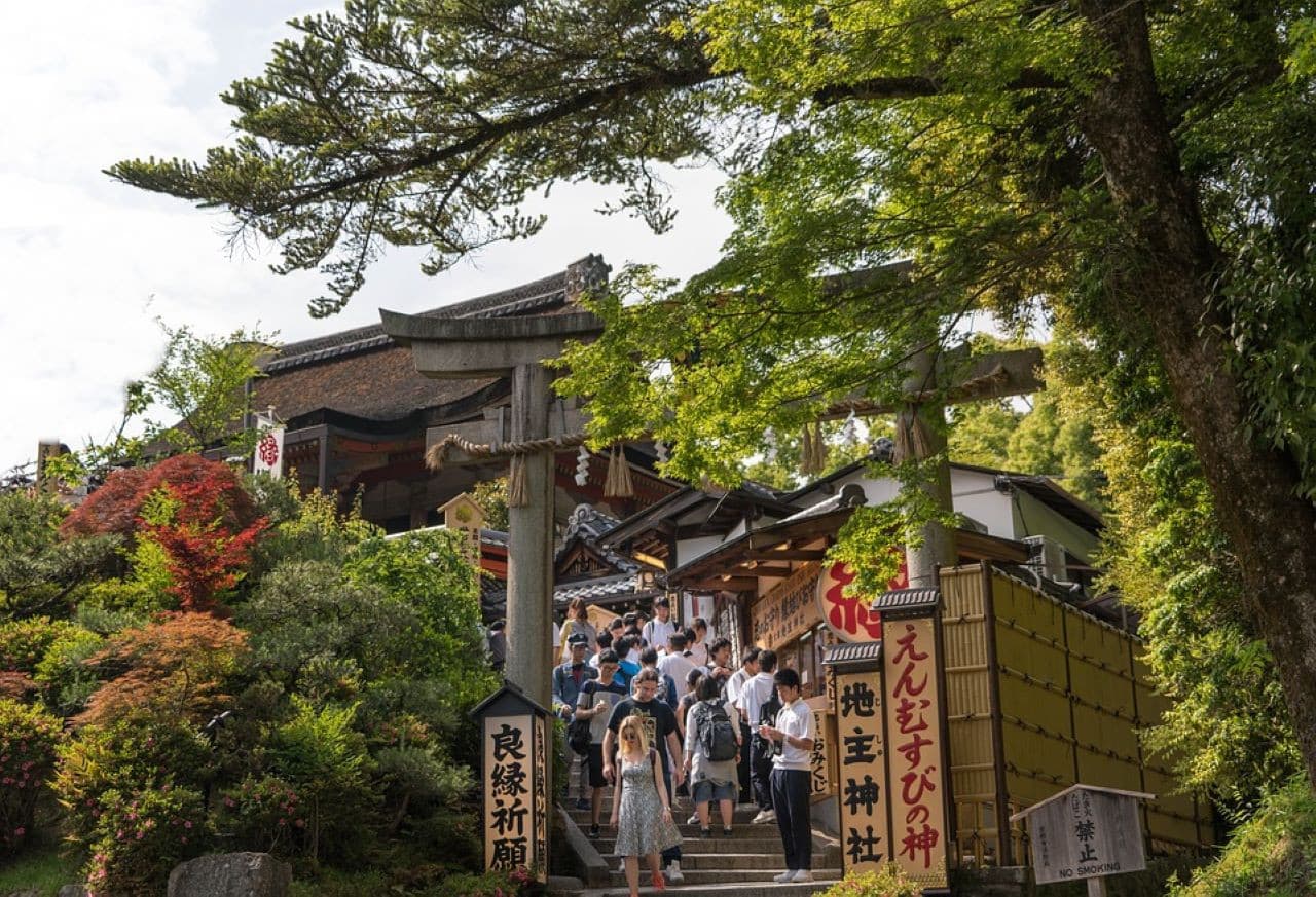 Kyoto Full-Day Tour: Nijo Castle, Kinkaku-ji,  Fushimi Inari Taisha, Kiyomizu-dera Temple - تصویر 12