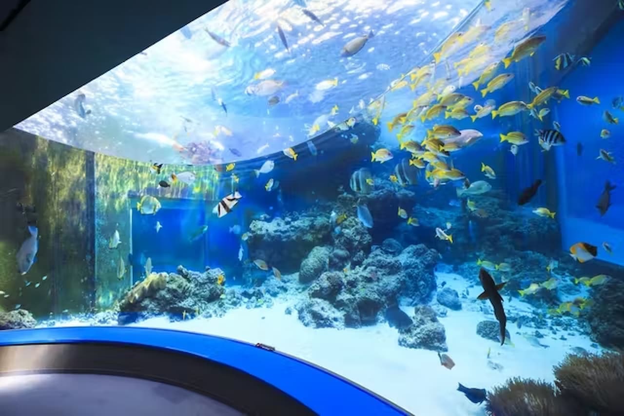 Okinawa Churaumi Aquarium Ticket - تصویر 3