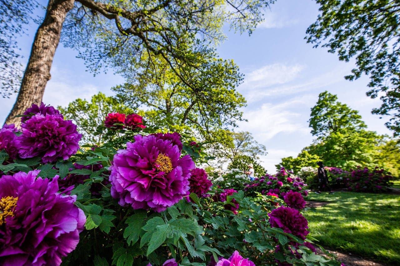 New York Botanical Garden Ticket - تصویر 12