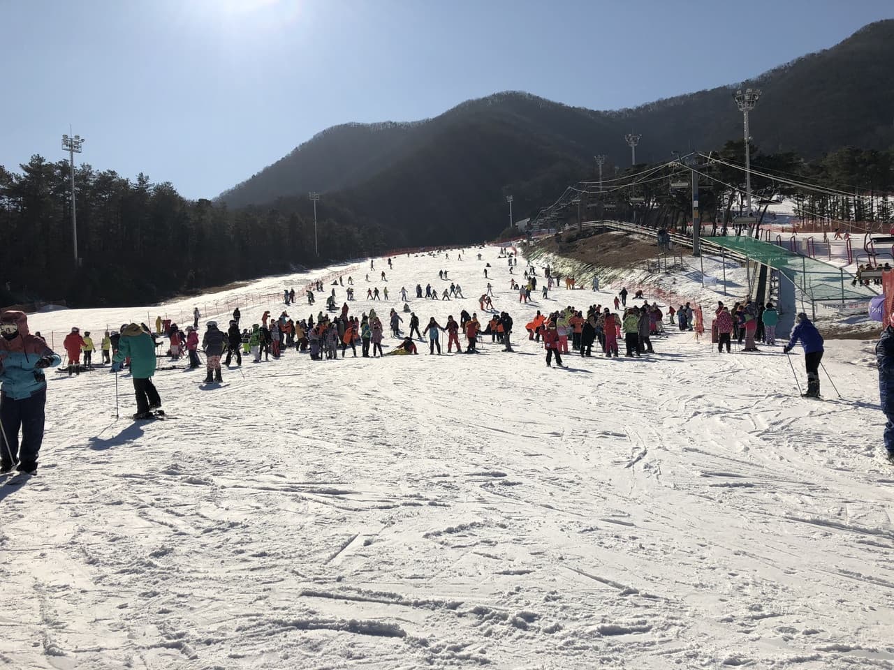 Jisan Forest Ski Resort Full-Day Tour from Seoul - تصویر 2