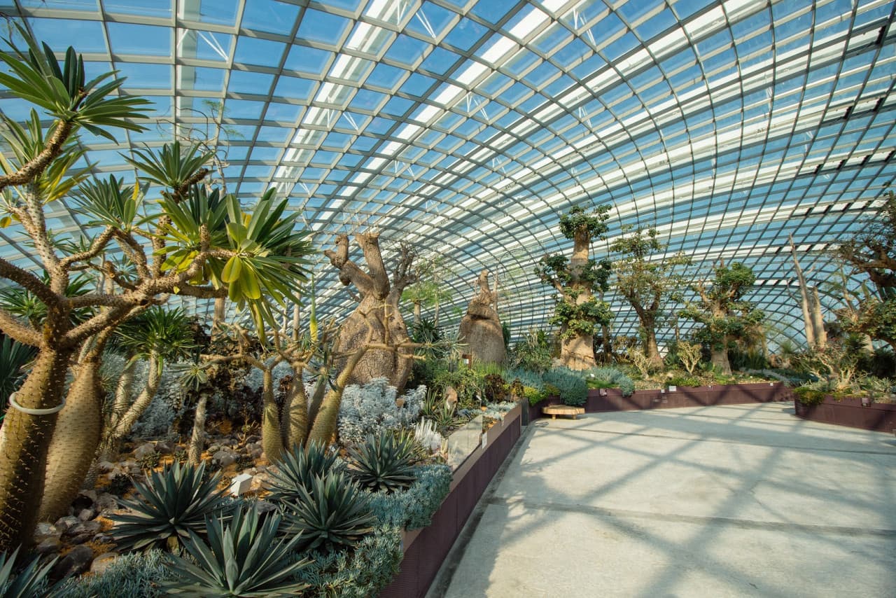 COMBO: Skyline Luge Singapore + Gardens by the Bay Ticket - تصویر 14