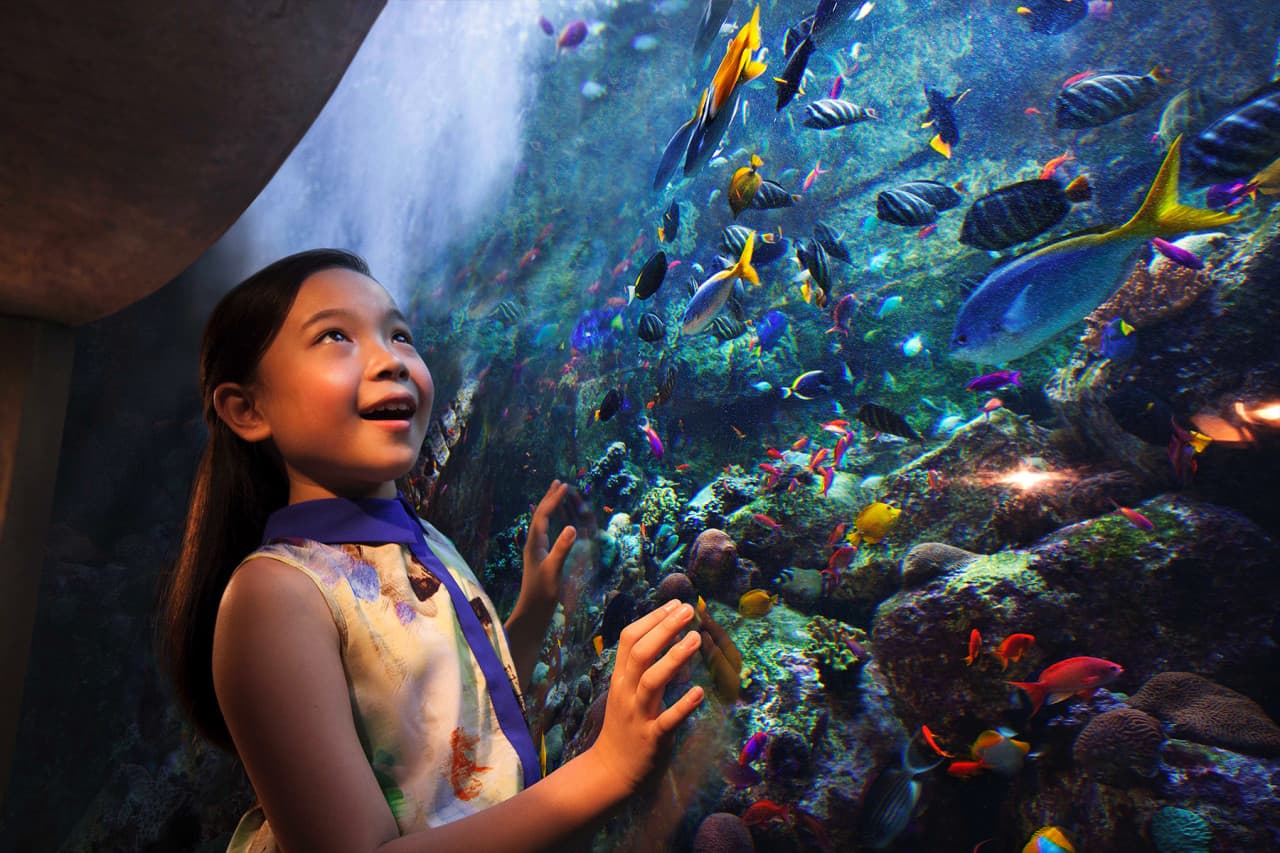 Go City Dubai All-Inclusive Pass: Save up to 50% on Attractions - تصویر 29