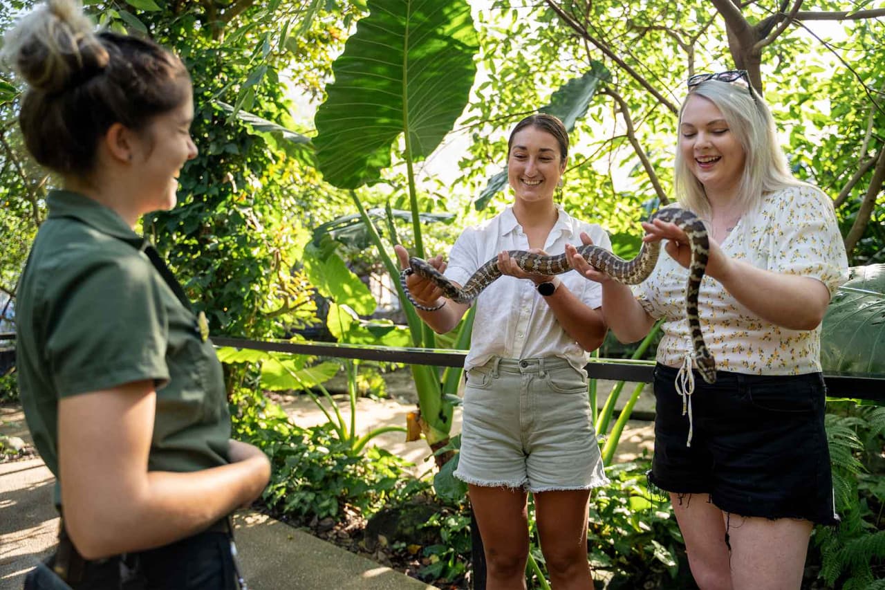 Wildlife Habitat Port Douglas Ticket - تصویر 2