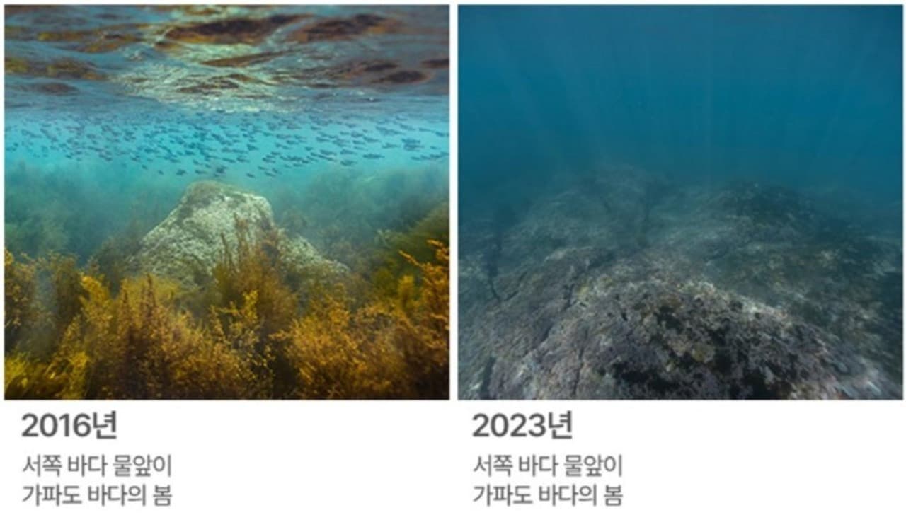 Aqua Planet Jeju Aquarium Ticket - تصویر 17