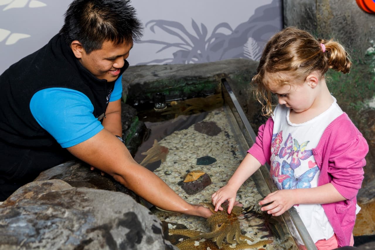 SEA LIFE Kelly Tarlton's Aquarium Ticket - تصویر 4