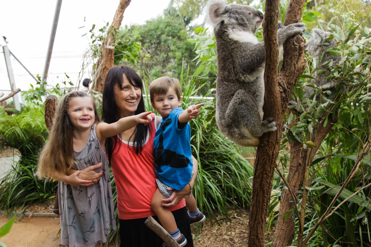 Sydney Multi-Attraction Pass - تصویر 16