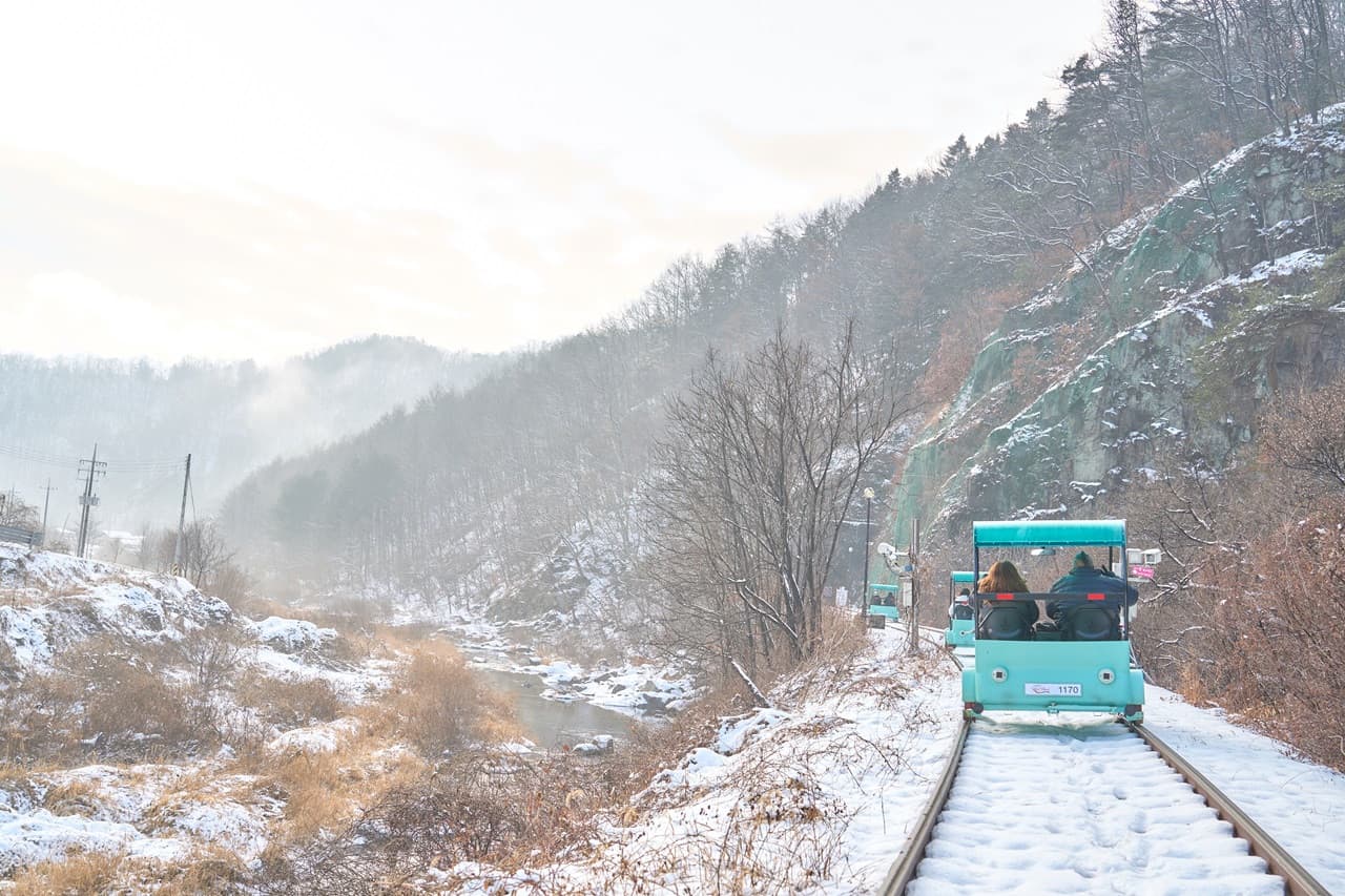 Nami Island, Mount Seorak, and Gapyeong Rail Bike Full-Day Tour from Seoul - تصویر 9