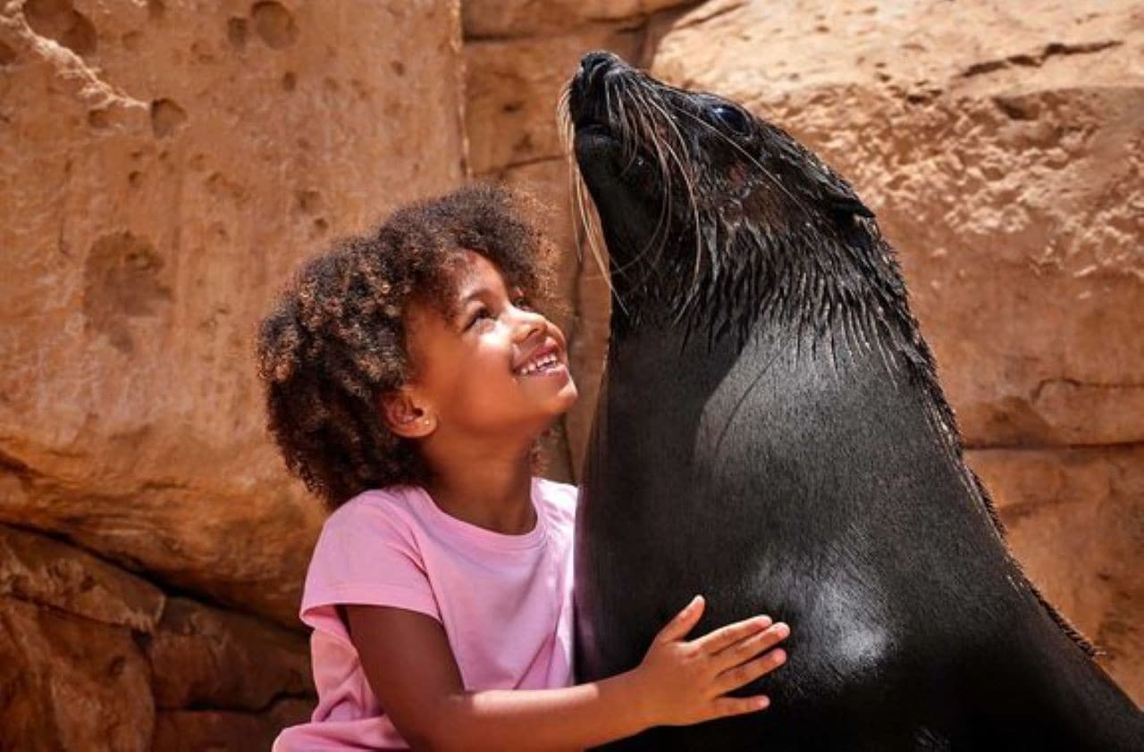 Atlantis Aquaventure World Dubai - Dolphin and Sea Lion Experiences at Atlas Village - تصویر 3