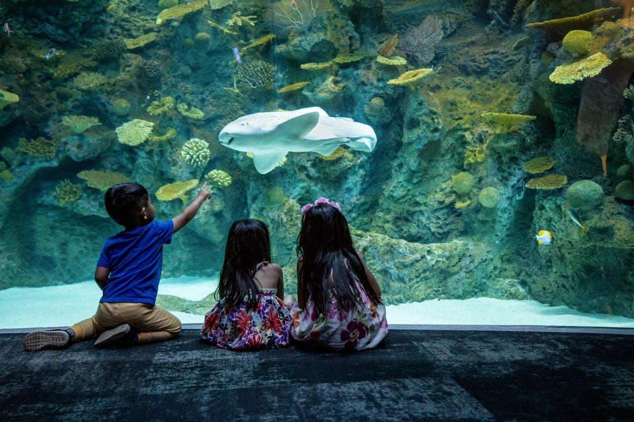 Seattle Aquarium Ticket - تصویر 3