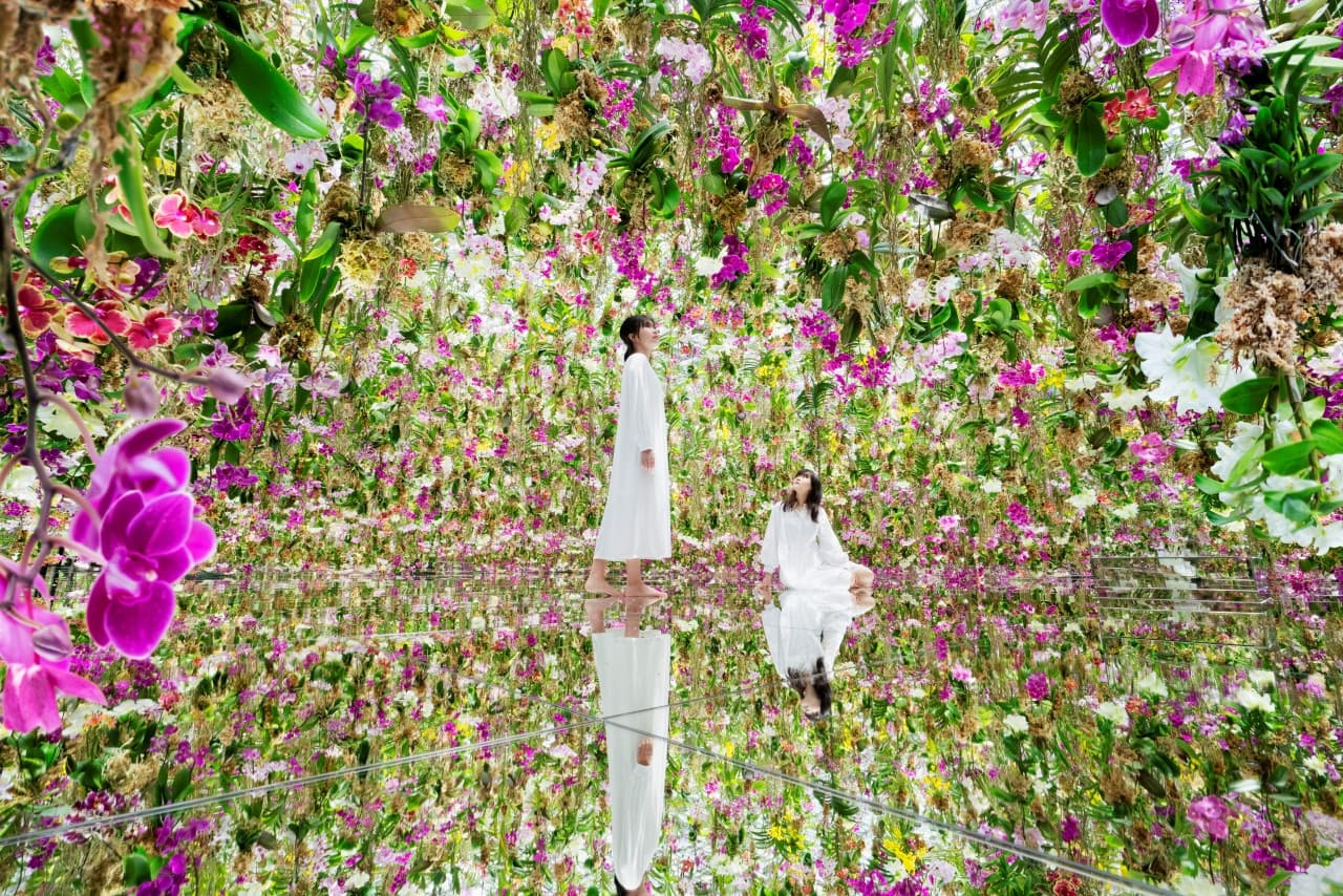 teamLab SuperNature Macao 3D Interactive Exhibition Ticket - تصویر اصلی