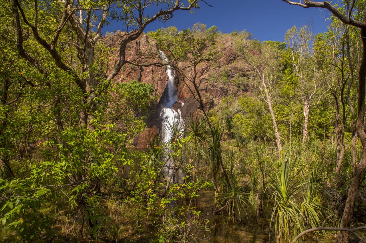 Litchfield National Park and Waterfalls Tour from Darwin - تصویر 6
