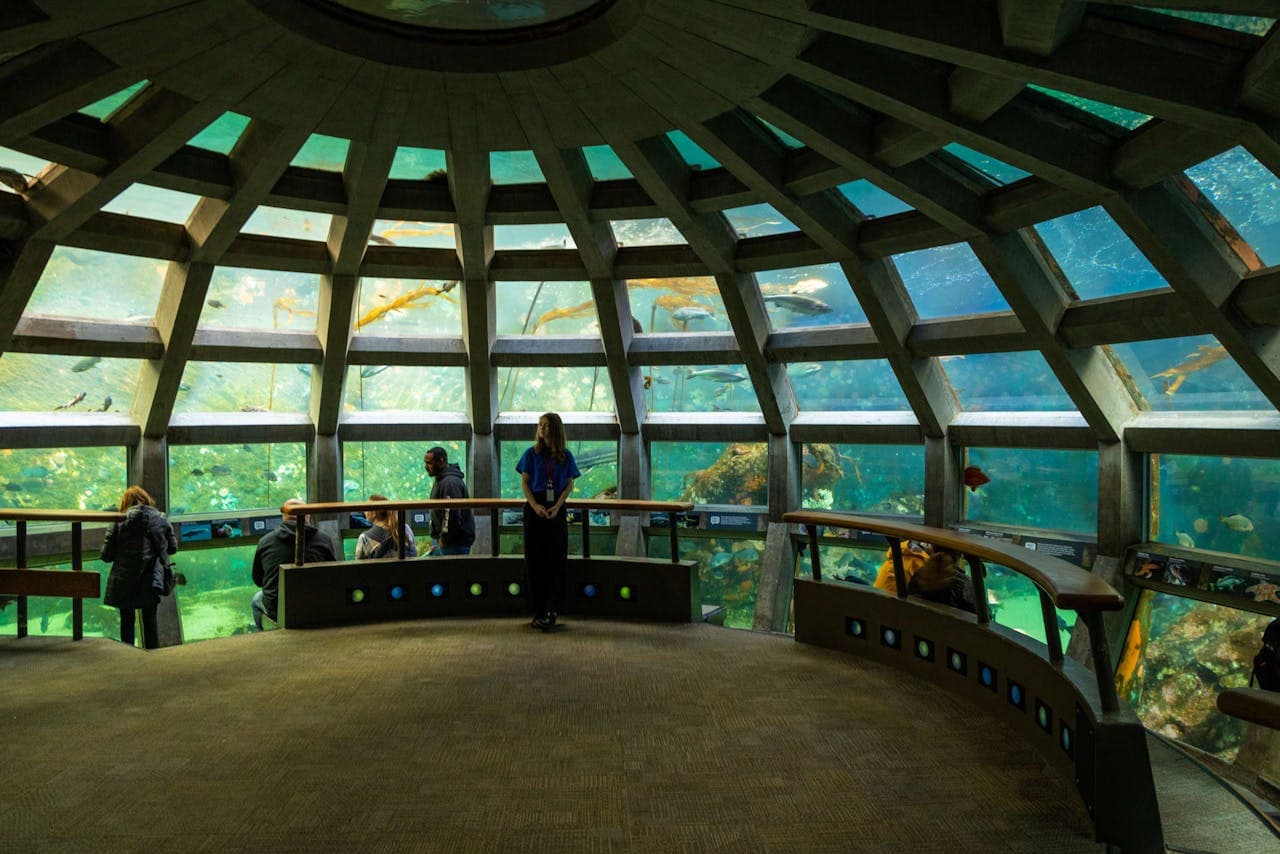 Seattle Aquarium Ticket - تصویر 2