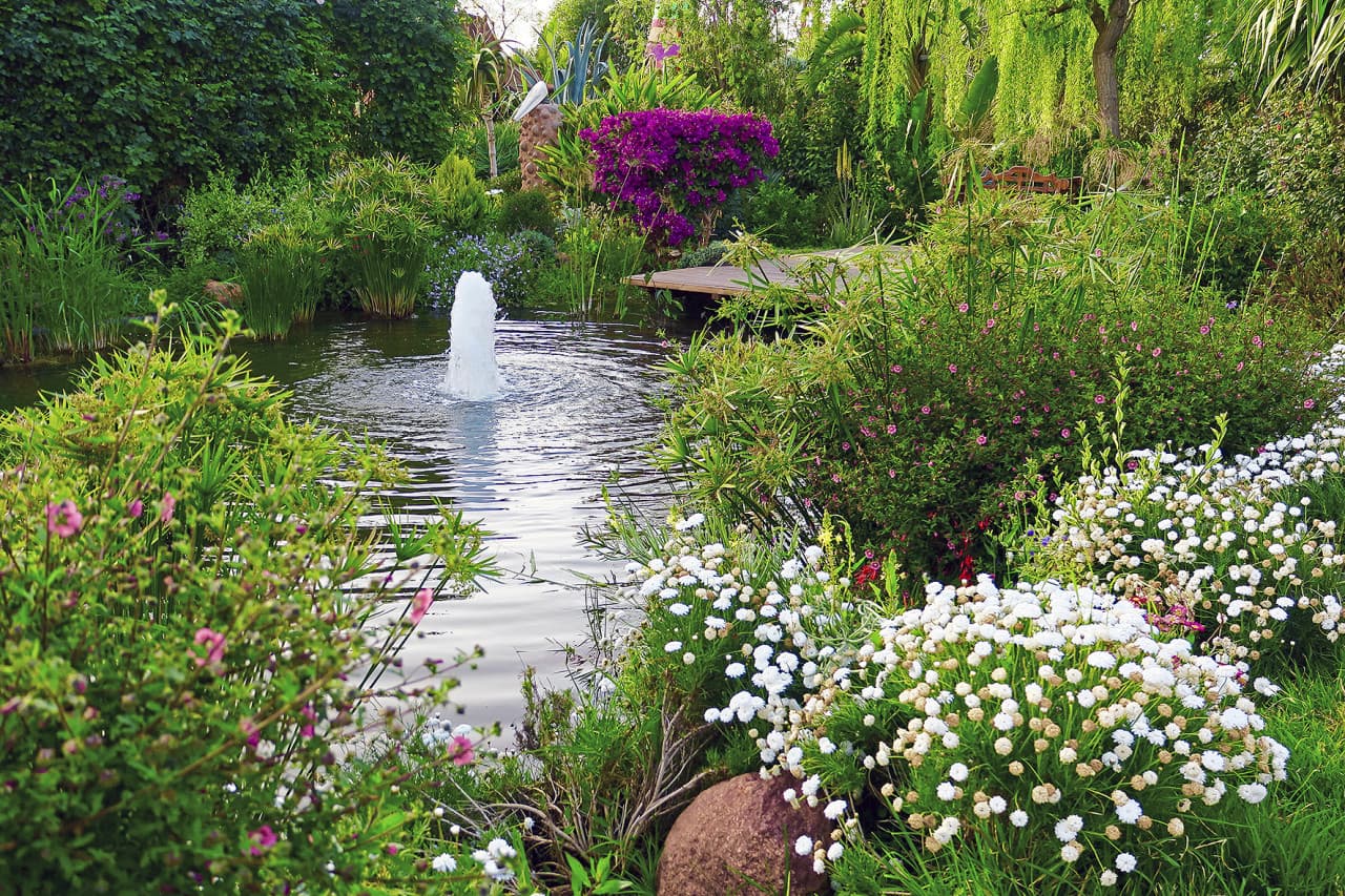 ANIMA Garden Ticket - تصویر 6